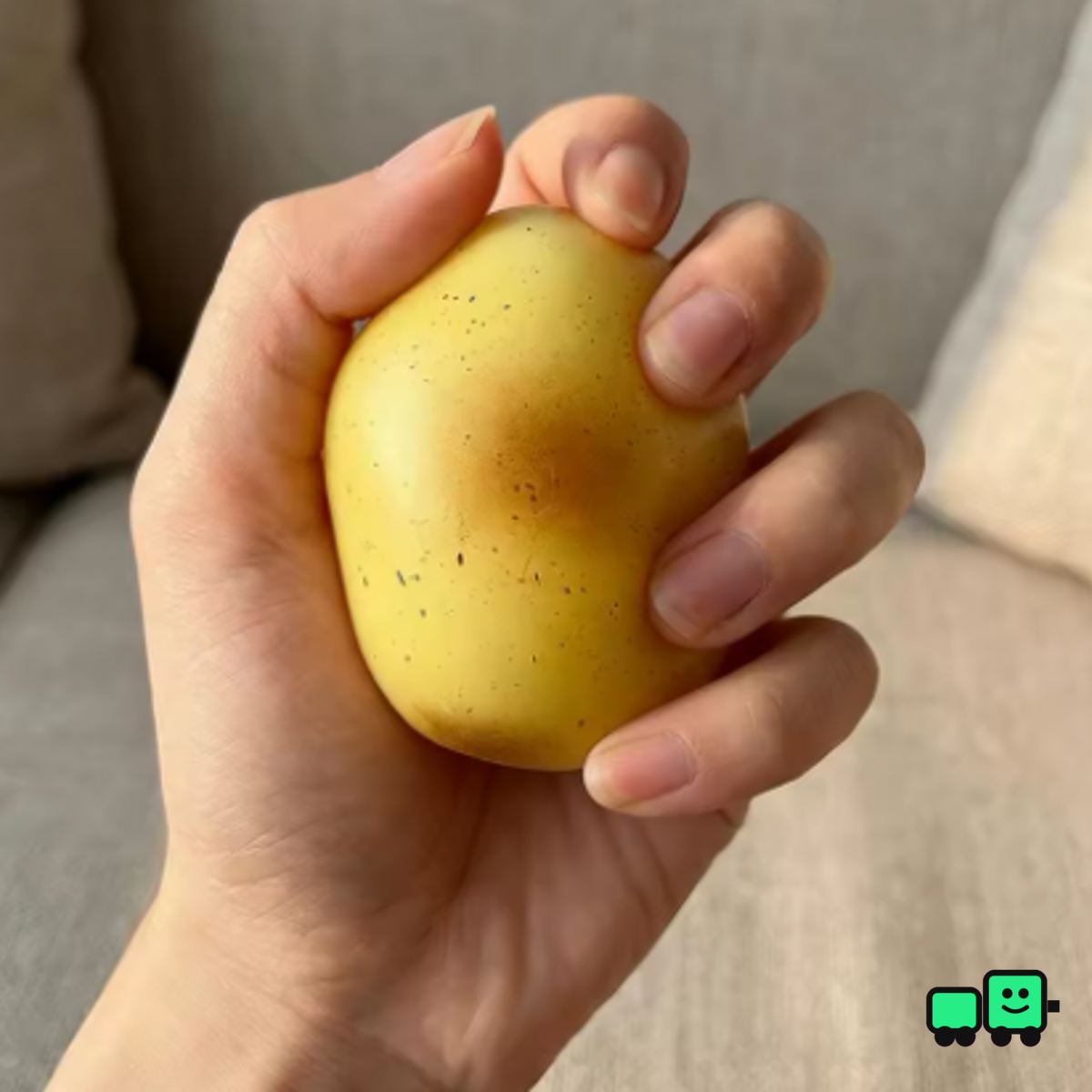 Juguete blando de patata - Paquete de 5