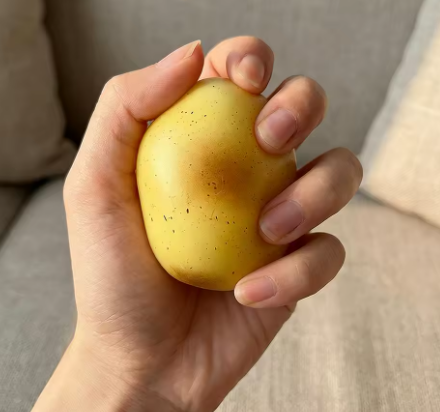 5 יחידות סקוושי תפוח אדמה